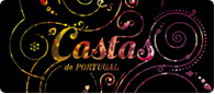 Newsletter n.º 24 - Foto 1